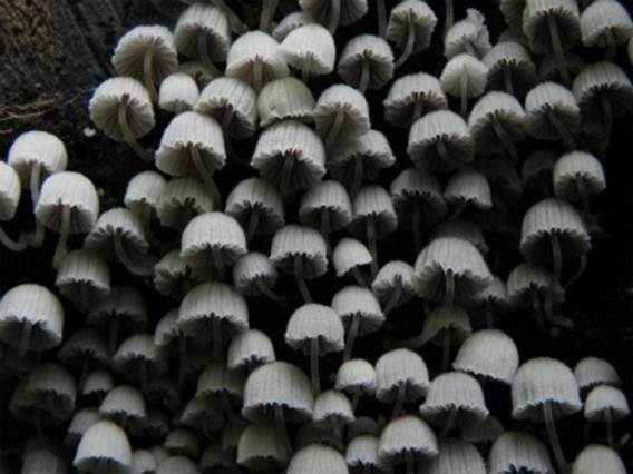 ����: http://blogimg.goo.ne.jp/user_image/21/bb/e08b70e83e26b1e4ba4dccaf10b2ab86.jpg