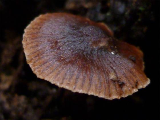 ����: http://blogimg.goo.ne.jp/user_image/4c/b8/e5b7dea082edfab34053599ff652c5af.jpg