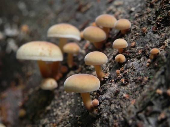 ����: DSCN7041