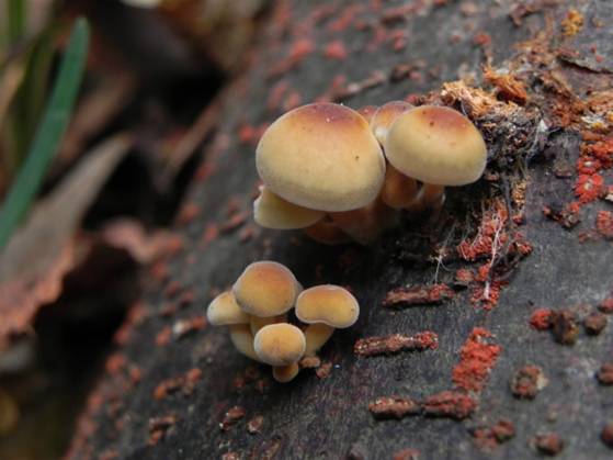 ����: DSCN7072