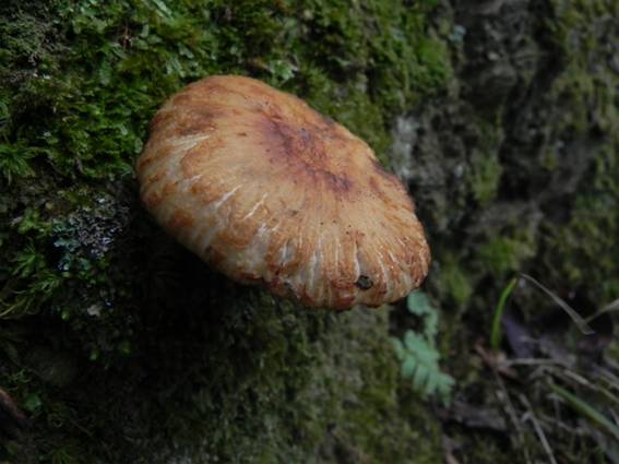 ����: http://blogimg.goo.ne.jp/user_image/51/03/4716249358f718ad1c24c8552875737d.jpg