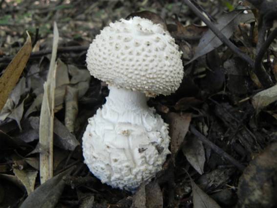 ����: http://blogimg.goo.ne.jp/user_image/2e/bc/8ee5f6febf7fabb85a0bd6720869a977.jpg