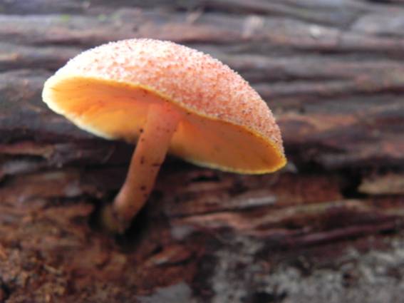 ����: http://blogimg.goo.ne.jp/user_image/0d/81/3c5948b2b43fb28ecc13018971173825.jpg