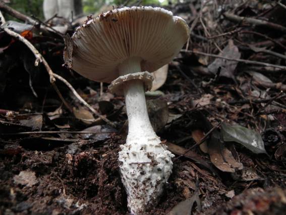 ����: http://blogimg.goo.ne.jp/user_image/2d/f8/9a0d1cd8b673a871707e714bf2bcd597.jpg