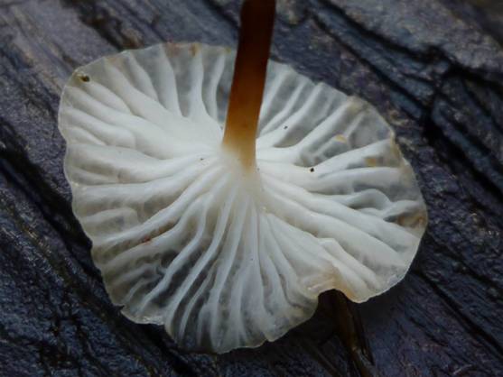 ����: P1110275