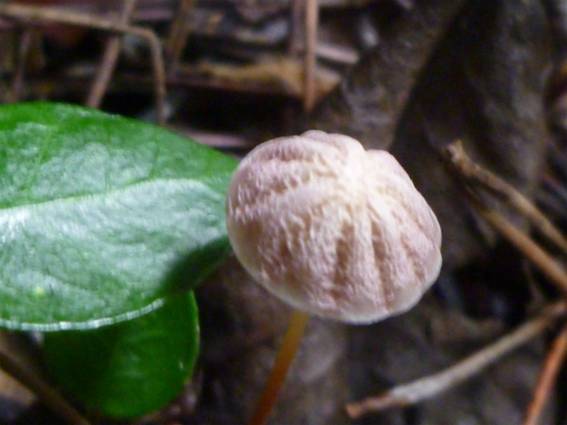 ����: http://blogimg.goo.ne.jp/user_image/13/ee/149cb2c5f565c7bb8e15223418624cc5.jpg