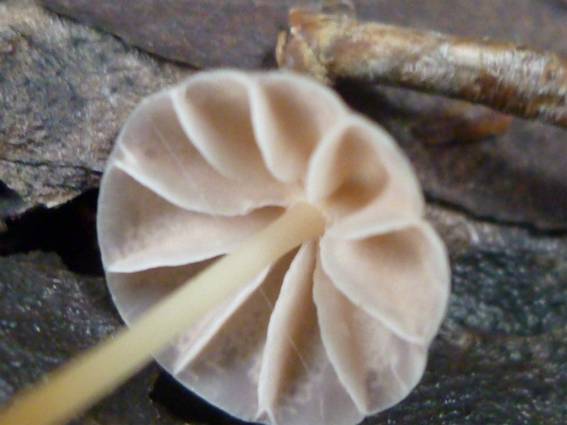 ����: http://blogimg.goo.ne.jp/user_image/47/6c/e1bede8d65ac53fa22eee66676e41224.jpg