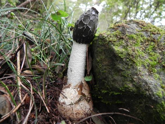 ����: http://blogimg.goo.ne.jp/user_image/38/7c/8b1987104cab2580a25e0a46a9c14076.jpg