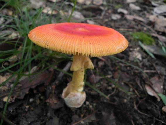 ����: http://blogimg.goo.ne.jp/user_image/55/8e/ef3b88da373236905020a833b4c8fbb8.jpg