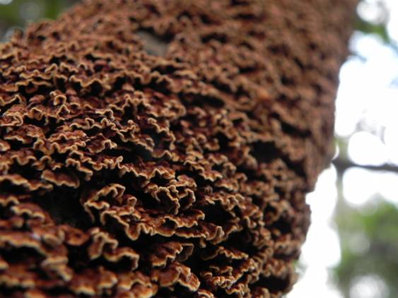 ����: DSCN6975