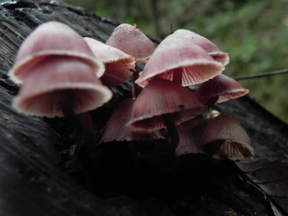 ����: http://blogimg.goo.ne.jp/user_image/21/4a/f6b7d0210c2b73514d3e79de088e8cc4.jpg