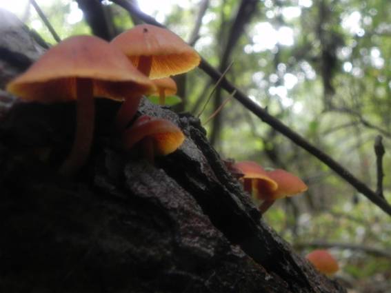 ����: http://blogimg.goo.ne.jp/user_image/42/03/b49dd87630ec9ac2b486f1bb42a4a695.jpg