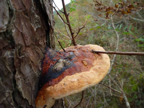 ����: http://blogimg.goo.ne.jp/user_image/6b/65/eb0b5bf89c3b1d2434bd1d1a8737d6f5.jpg