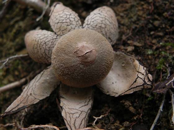 ����: DSCN6881