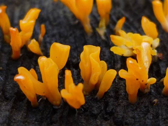 ����: P1110283