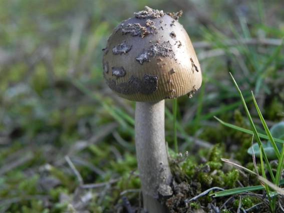 ����: http://blogimg.goo.ne.jp/user_image/4b/f8/6921973f3095804b0f6fd32801210a49.jpg