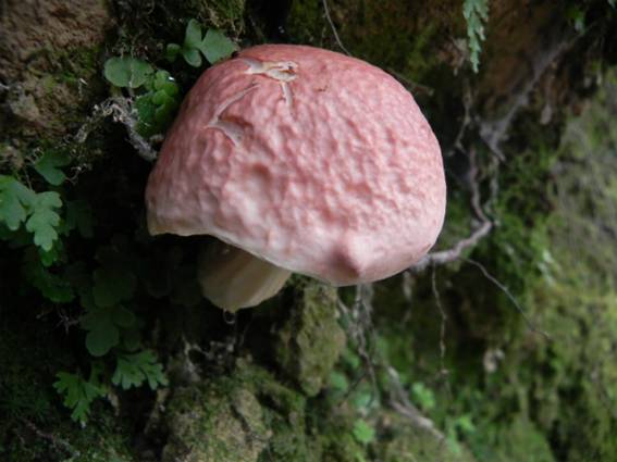 ����: http://blogimg.goo.ne.jp/user_image/07/bd/22558d73524e13578c3fc3a1dfc5789b.jpg