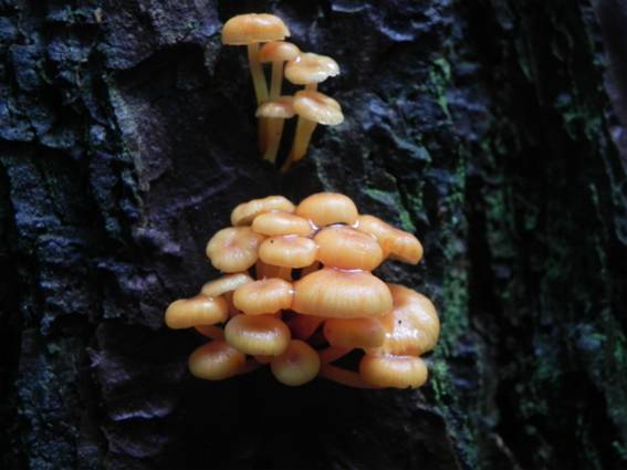 ����: http://blogimg.goo.ne.jp/user_image/0c/db/340365e6a69dcf5015c6308f348f240a.jpg