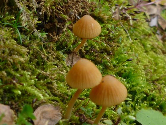 ����: P1110310