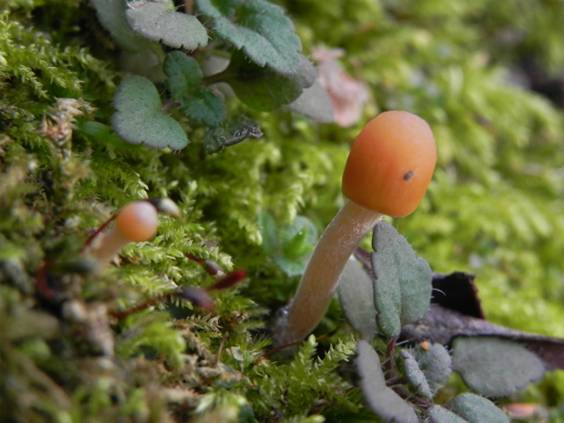 ����: DSCN7094