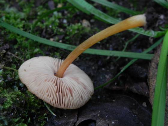 ����: http://blogimg.goo.ne.jp/user_image/5e/93/6ff2795b128e01909ba442a683c2fbca.jpg