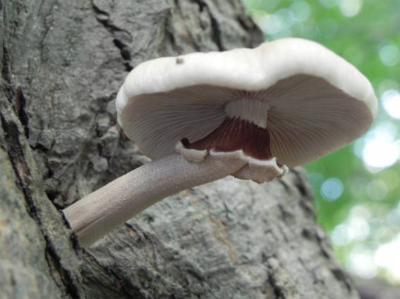 ����: http://blogimg.goo.ne.jp/user_image/05/14/c6bb611614b0e4241b1358e4a142b5fb.jpg