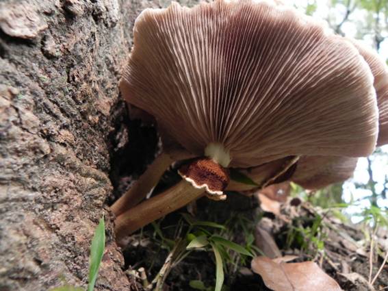 ����: http://blogimg.goo.ne.jp/user_image/53/1e/4b2450134839c14525c9d219276d0648.jpg