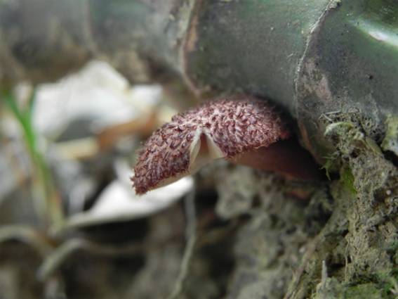 ����: http://blogimg.goo.ne.jp/user_image/48/d5/39960e5779f7b09ba6117cb225c29e88.jpg