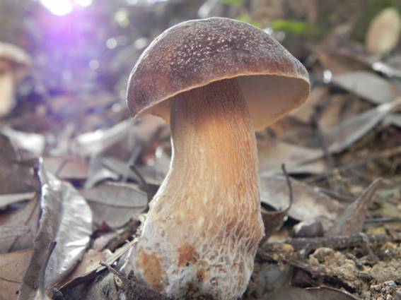 ����: http://blogimg.goo.ne.jp/user_image/6c/7a/3e1052d6f79a551523f03fd4454559b8.jpg