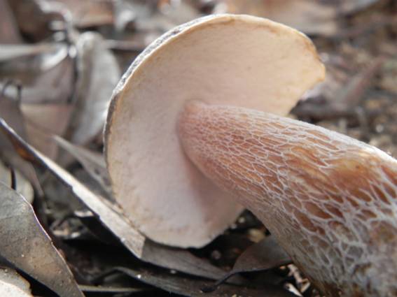 ����: http://blogimg.goo.ne.jp/user_image/25/fe/d2c0b00974511497aa989ba79fd96407.jpg