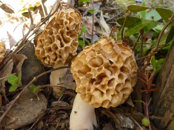 ����: http://blogimg.goo.ne.jp/user_image/47/32/857b3fbf4b6a2f7399545f2e18830c75.jpg