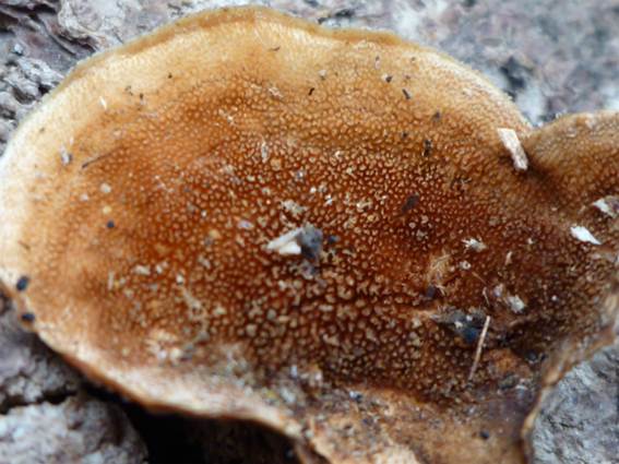 ����: http://blogimg.goo.ne.jp/user_image/2b/86/41ff36581021cf7f50ed2521f415afe3.jpg