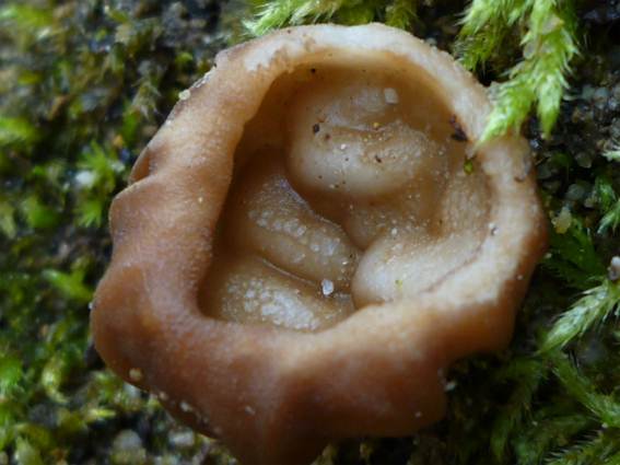 ����: http://blogimg.goo.ne.jp/user_image/23/fd/d10fcbf6fbb97bd73cd4a638cddaabb9.jpg