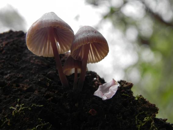 ����: http://blogimg.goo.ne.jp/user_image/10/51/20b8f54c3ad84f9a958edfcaeaebace3.jpg