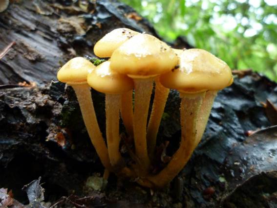 ����: http://blogimg.goo.ne.jp/user_image/39/03/7da002d2099adce78b8b8da071bd6755.jpg