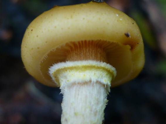 ����: http://blogimg.goo.ne.jp/user_image/10/bc/54f6143aa394a485304ddebd9aa8801c.jpg