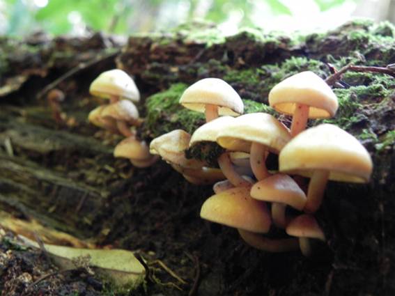 ����: http://blogimg.goo.ne.jp/user_image/2b/3f/18eda852ad2db4a987fab4df123de9f1.jpg