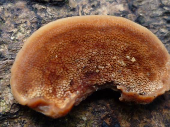 ����: http://blogimg.goo.ne.jp/user_image/4a/e9/671c3662b13d84c77535b53f6d34daaf.jpg