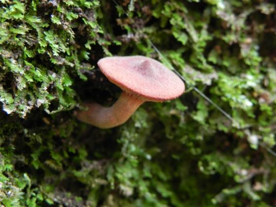 ����: http://blogimg.goo.ne.jp/user_image/15/8c/0c2cbee0cedec514a0c624f52b73fef9.jpg